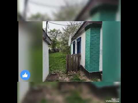 Видео: #Треш контент#Вся правда про дом#Волчица Кая#МулионерШа#