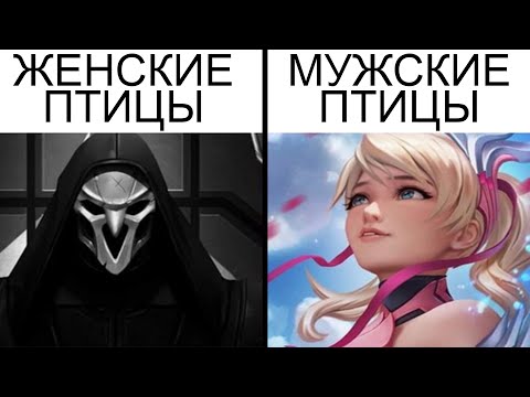 Видео: Дневная подборка мемов 853