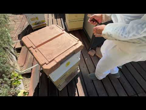 Видео: Apymaye hive best - Апимае лучший улей и лучшая кормушка