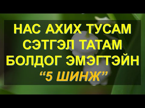 Видео: ☯️НАС АХИХ ТУСАМ ИЛҮҮ СЭТГЭЛ ТАТАМ БОЛДОГ ЭМЭГТЭЙН 5 ШИНЖ ✅✅✅