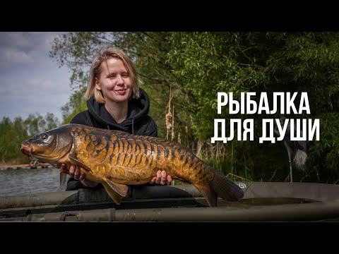 Видео: КАРПФИШИНГ - ЭТО ЛУЧШАЯ РЫБАЛКА? Ловим и отпускаем карпа для души!