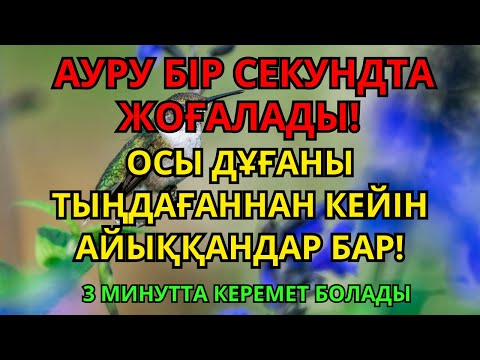 Видео: Шипасы шексіз дұға – Пайғамбардың 3 минуттық дұғасы ауруды жеңілдетіп, денсаулық сыйлайды
