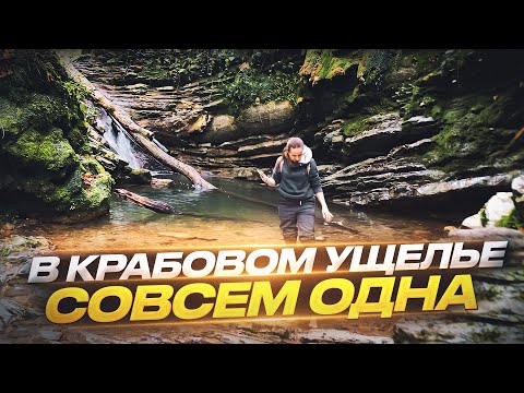 Видео: ПЕРЕЕХАЛА СОВСЕМ ОДНА В СОЧИ | КУДА ПОЙТИ ТУРИСТУ | ЛЕС, ГОРЫ, ВОДОПАДЫ