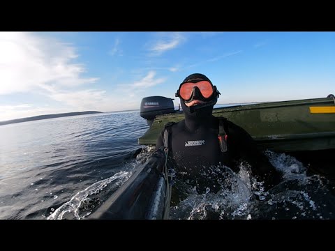 Видео: Подводная охота сезон 2024 фильм N10 «Начало или Первый трофей»