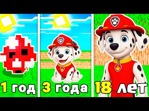 Видео: КАК МЕНЯЛСЯ МАРШАЛ ЩЕНЯЧИЙ ПАТРУЛЬ В МАЙНКРАФТ