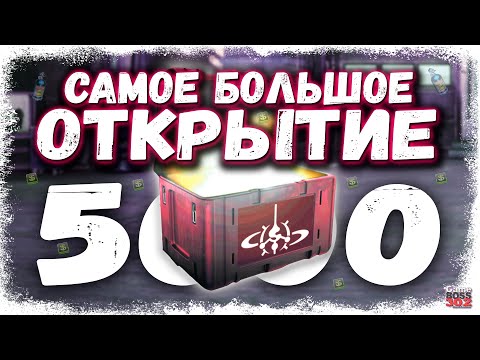Видео: САМОЕ БОЛЬШОЕ ОТКРЫТИЕ КЕЙСОВ В ИСТОРИИ | 5000 КЕЙСОВ ПОЧТИ НА 1.000.000 БАКСОВ  | Drag Racing УГ