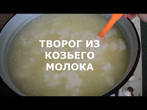 Видео: Творог из козьего молока. Как нагреть нестабильный сгусток?