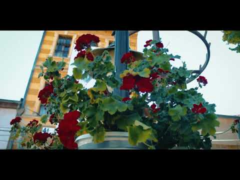 Видео: Битола во срцето