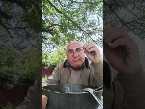Видео: МУКБАНГ - КАРТОШКА  МЯСО 🥩 🥔 НА ПРИРОДЕ ☀🌳 ВЫГНАЛИ ИЗ ДОМА 😄