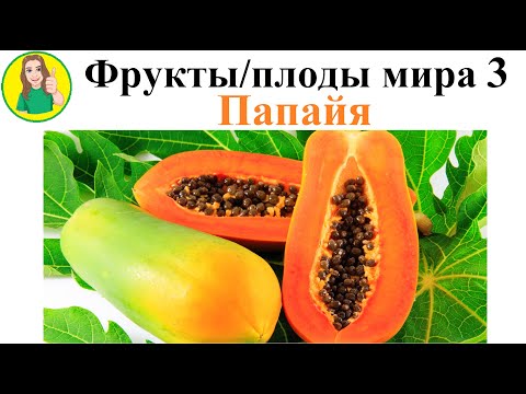 Видео: Фрукты   плоды мира 3 – Папайя Сыроедение Фрукторианство