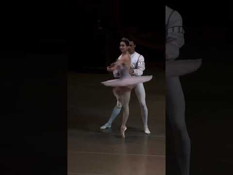 Видео: Адажио из балета Спящая красавица || sleeping Beauty, Renata Shakirova, 20.07.2025