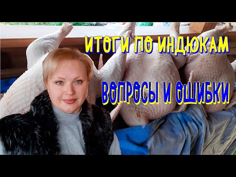 Видео: индюки, частые ошибки и вопросы, итоги 2021 года