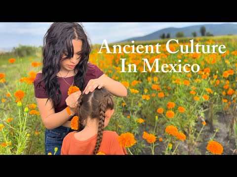 Видео: Наша семейная жизнь в Мексике 🇲🇽 Древняя культура и семейные рецепты
