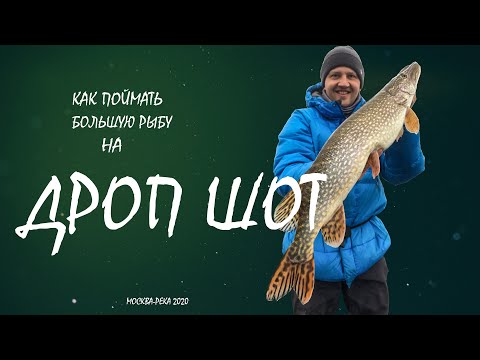 Видео: КАК БЫСТРО И ЛЕГКО ЛОВИТЬ РЫБУ НА ОСНАСТКУ ДРОП ШОТ (DROP SHOT)? | РЫБАЛКА С ЛОДКИ НА МОСКВЕ РЕКЕ