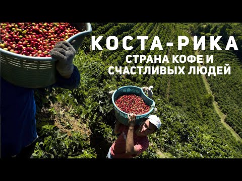 Видео: Как кофе попадает к нам на стол? КОСТА-РИКА — страна счастливых людей | Производство Кофе