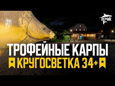 Видео: Поиск трофейных карпов - форумный турнир "Кругосветка" ● Русская рыбалка 4 ● РР4