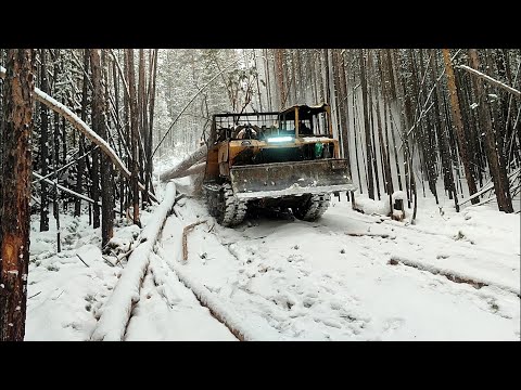 Видео: Шиномонтаж и трелевка леса ТДТ 55