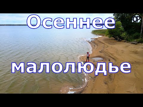 Видео: ОСЕННЕЕ МАЛОЛЮДЬЕ В АВТОТУРЕ ПО ВИЛЕЙКЕ