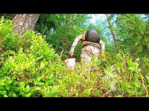 Видео: РЫБАК ПОШЁЛ В ЛЕС ЗАШЁЛ В ОЗЕРО И БЫЛ В ШОКЕ! РЫБАЛКА НА РАКА 2024. ПОЙМАЛ РАКОВ И ПРИГОТОВИЛ