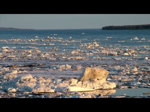 Видео: Счастливые люди | Енисей | Весна (серия 1) | Дмитрий Васюков