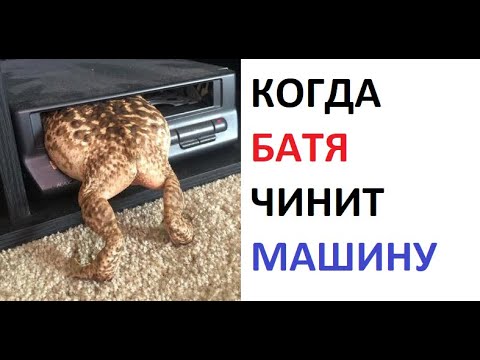Видео: Лютые приколы. Когда батя чинит машину