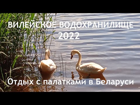 Видео: Вилейское водохранилище 2022 - отдых с палатками близ деревни Сосенка. Дикий кемпинг!