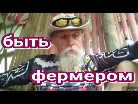 Видео: мои Филиппины..фермерство..про топор и его возможности, про объявление в Телеграмм и про двух друзей