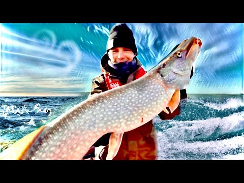 Видео: ЖЕСТЬ! ВЕТЕР, ВОЛНЫ И ТУРБО КЛЁВ ЩУКИ! РЫБАЛКА ОСЕНЬЮ В ХАНТАХ.