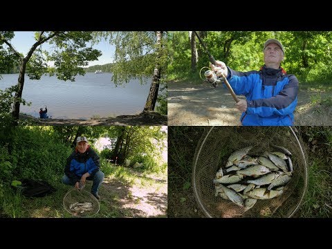 Видео: Рыбалка  в Тишково c фидером.Ловля плотвы на Пестовском водохранилище.