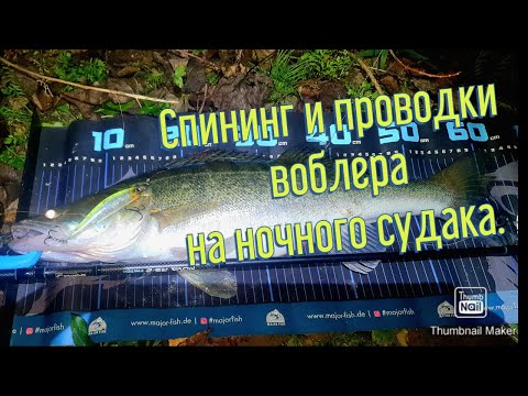 Видео: Ночной судак на воблеры. Проводка и выбор спининга на ночного судака.  Sportex Nova RS-2