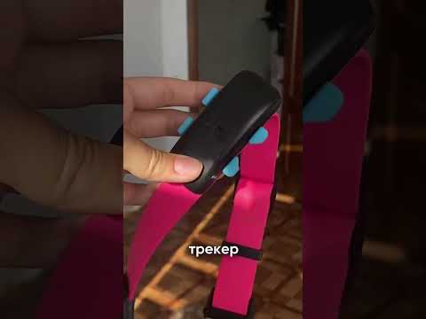 Видео: Как научить собаку прибегать на звук GPS-трекера Petsee?  #собака  #питомцы #gpsтрекер #дрессировка