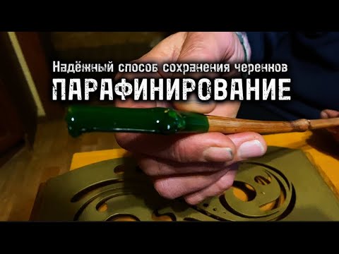 Видео: Как парафинировать черенки винограда?
