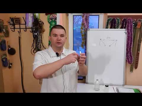 Видео: Как научить собаку игратся в перетяжки