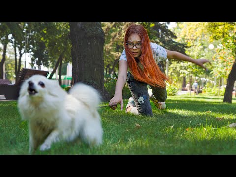 Видео: ПРОПАЛА СОБАКА!!! Маша ПРОСИТ О ПОМОЩИ!!!