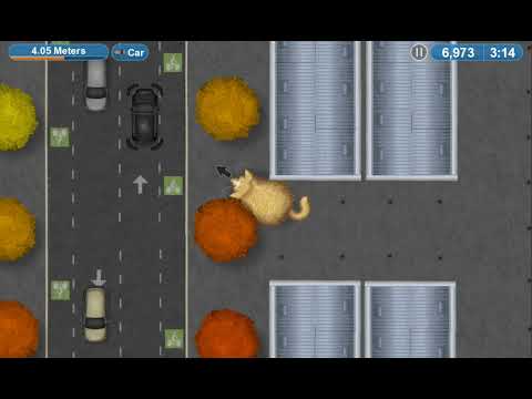 Видео: 12 серпня 2025 р.