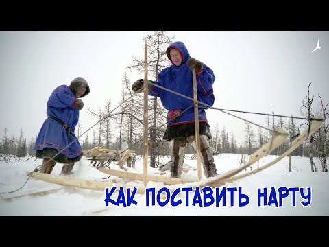 Видео: Великий кочевник Няду. Как поставить нарту.