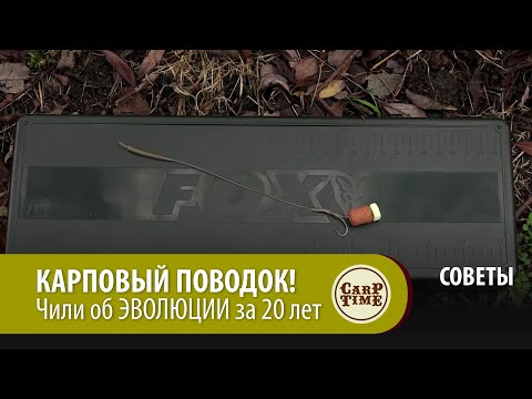 Видео: КАРПОВЫЙ ПОВОДОК! Чили об ЭВОЛЮЦИИ за 20 лет СОВЕТЫ