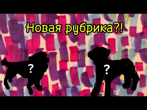 Видео: НОВАЯ РУБРИКА?/Обзор фигурок Schleich