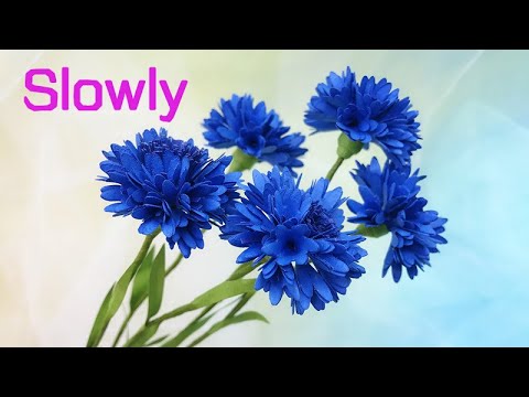 Видео: ABC TV | Как сделать цветок василька из бумаги (медленно) - Учебник по рукоделию