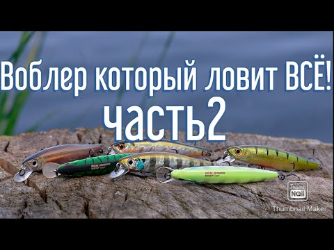 Видео: Воблер который ловит ВСЁ! Розыгрыш воблера, условия. Bassday Mogul Minnow 88SP Dart. Вот ЭТО УЛОВ!