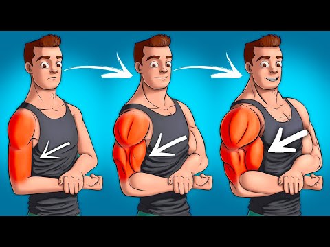 Видео: 10 лучших УПРАЖНЕНИЙ для РУК. Тренировка рук с гантелями!