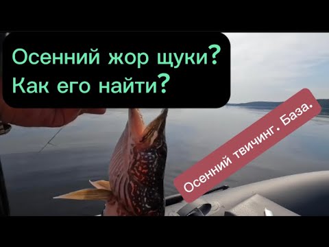 Видео: Щука осенью. Где искать осенний жор щуки.