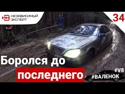 Видео: ИДИОТЫ НА МЕРСЕДЕСЕ В ЛЕСУ Часть 2.