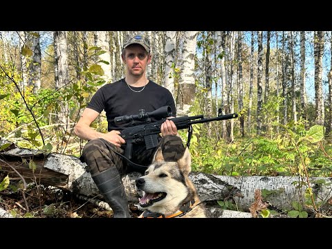 Видео: Начало сезона с лайками. Натыкаемся на медведя.