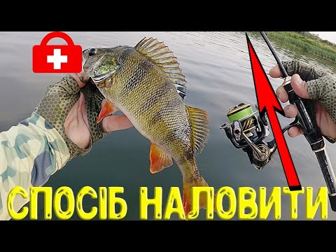 Видео: ЖЕСТЬ РИБАЛКА!! ДЛЯ ОКУНЯ ЦЕЙ СПІНІНГ!! рибалка на спінінг мікроджиг літом