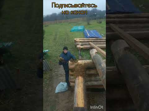 Видео: Правильная укладка моха в сруб. Стройка бани в одни руки.