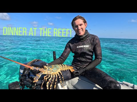 Видео: Наш первый рифовый парус и огромный улов раков! (Эпизод 2)