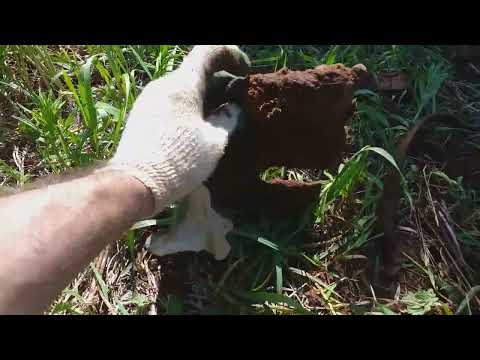 Видео: Что ещё осталось в старой деревне!?#metaldetecting #находки #медь #алюминий