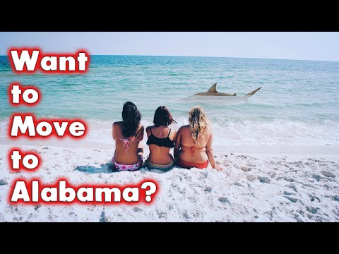 Видео: 10 главных причин переехать и жить в Алабаму. (Бонус в конце.)