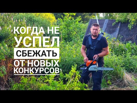 Видео: Купили новый старый дом! Пёс Кубик вытерпел косточку, сова Ёль выслушала историю